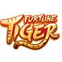 conta demo fortune tiger ícone